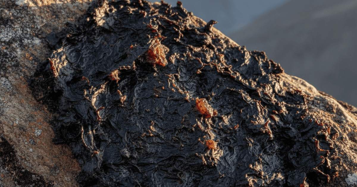 Shilajit resin in a natural Himalayan setting, dark tar-like substance on rock